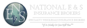 National E&S Insurance Brokers